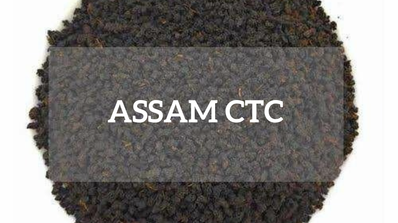 Assam CTC