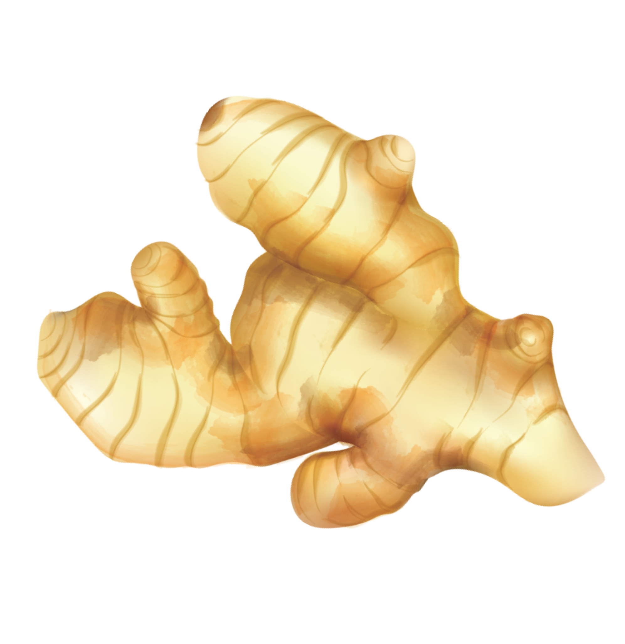 _img_collection unloaded