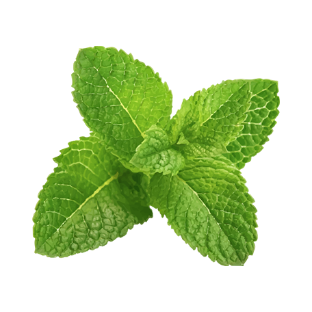 _img_collection unloaded