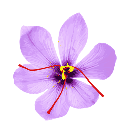 _img_collection unloaded