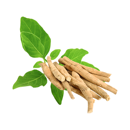 _img_collection unloaded