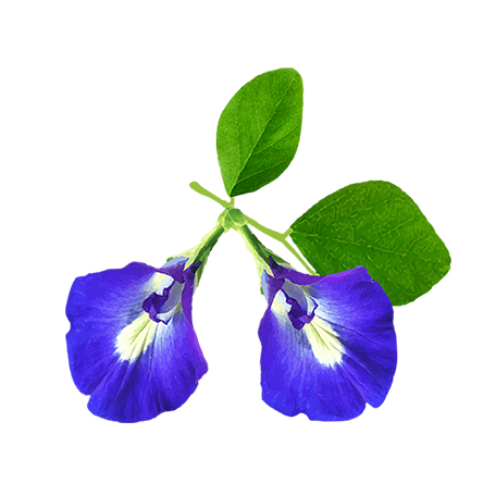 _img_collection unloaded