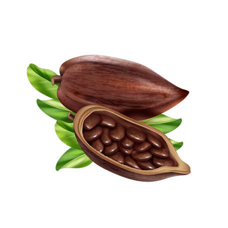 _img_collection unloaded