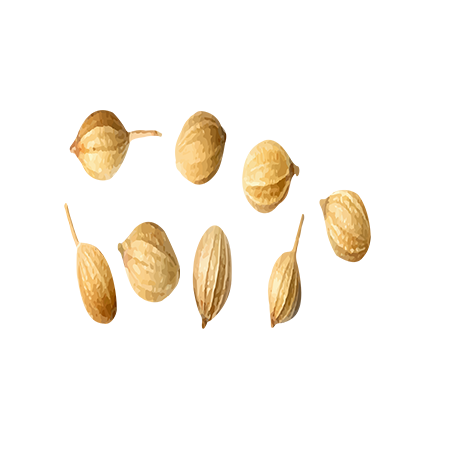 _img_collection unloaded