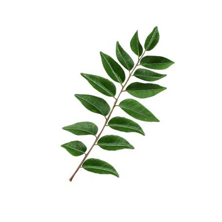 _img_collection unloaded