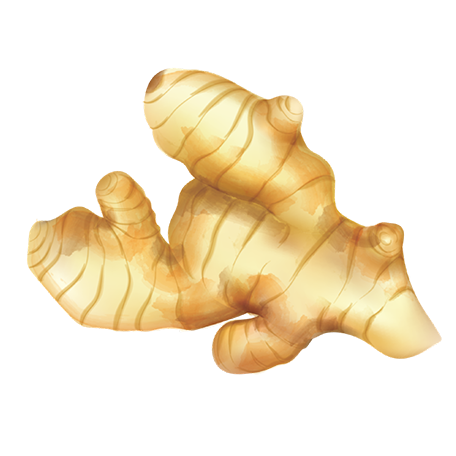 _img_collection unloaded