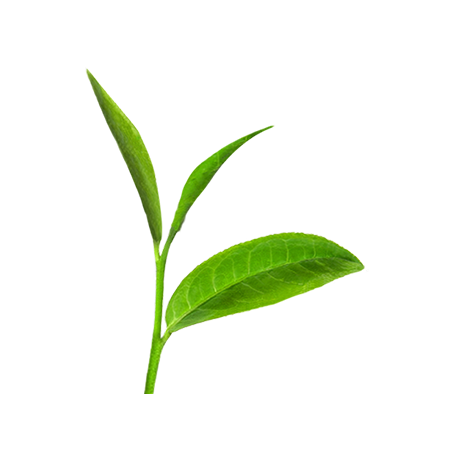 _img_collection unloaded