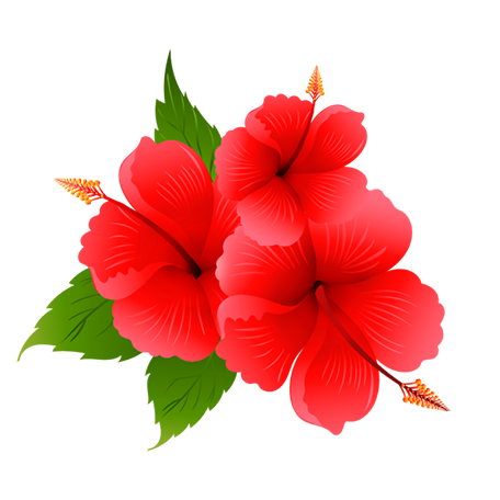 _img_collection unloaded