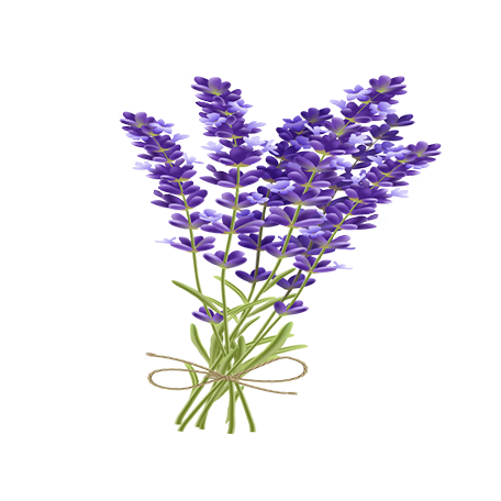 _img_collection unloaded