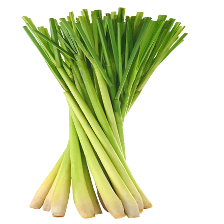 _img_collection unloaded