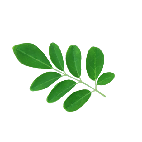 _img_collection unloaded