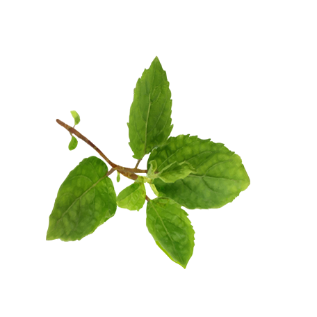 _img_collection unloaded