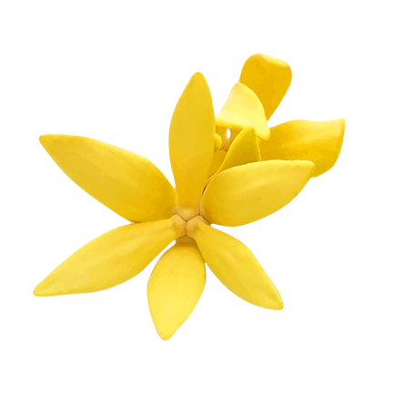 _img_collection unloaded